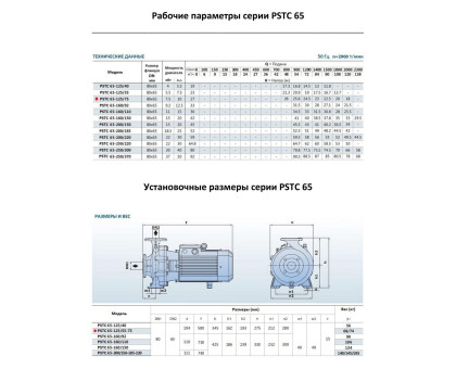 Насосный агрегат моноблочный фланцевый PURITY PSTC 65-125/75