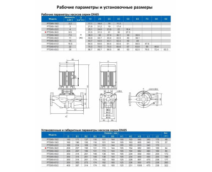 Циркуляционный насос In-Line PURITY PTD 65-30/2