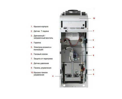 Protherm Медведь 40 KLOM